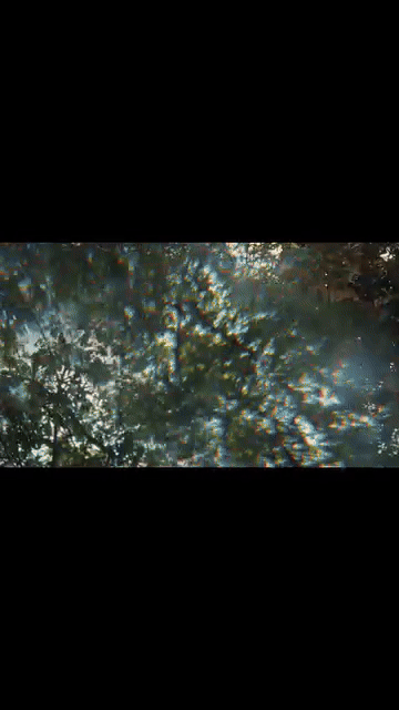 Golshifteh Farahani x Cartier - Irene Cacciarini