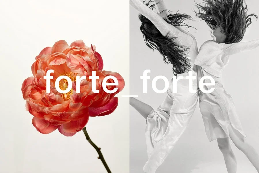 Forte Forte - Koto Bolofo 