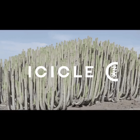 Icicle - SS18