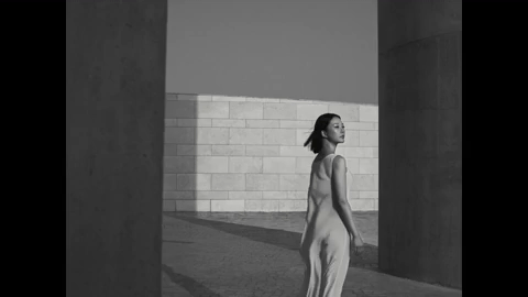 The Ginza - Raphael Hache 