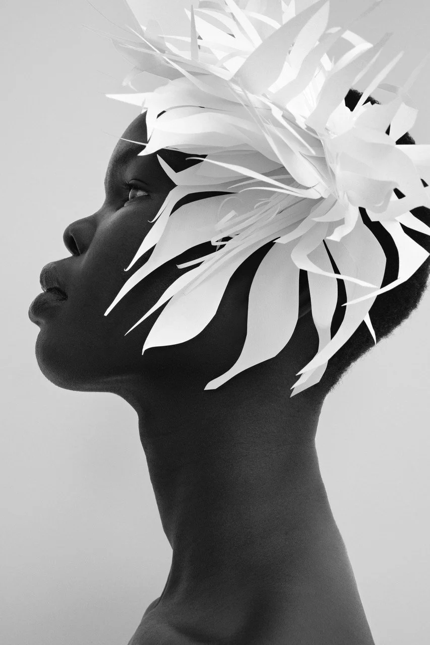 fleur papier_0471_A_nb.jpeg