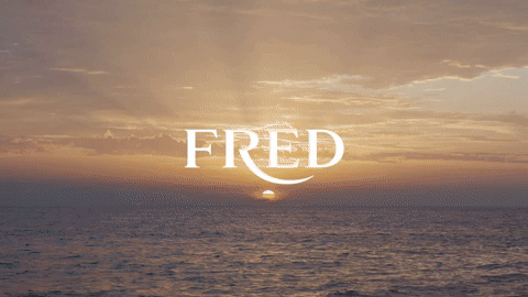 FRED Paris - Cédric Bihr 