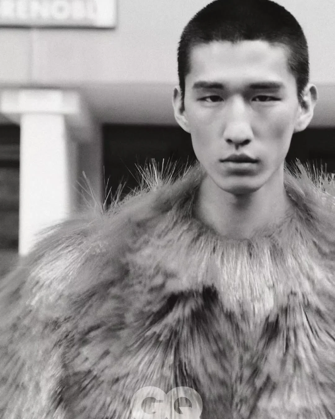 gqq.jpg
