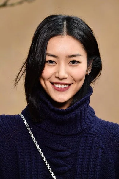Liu Wen 