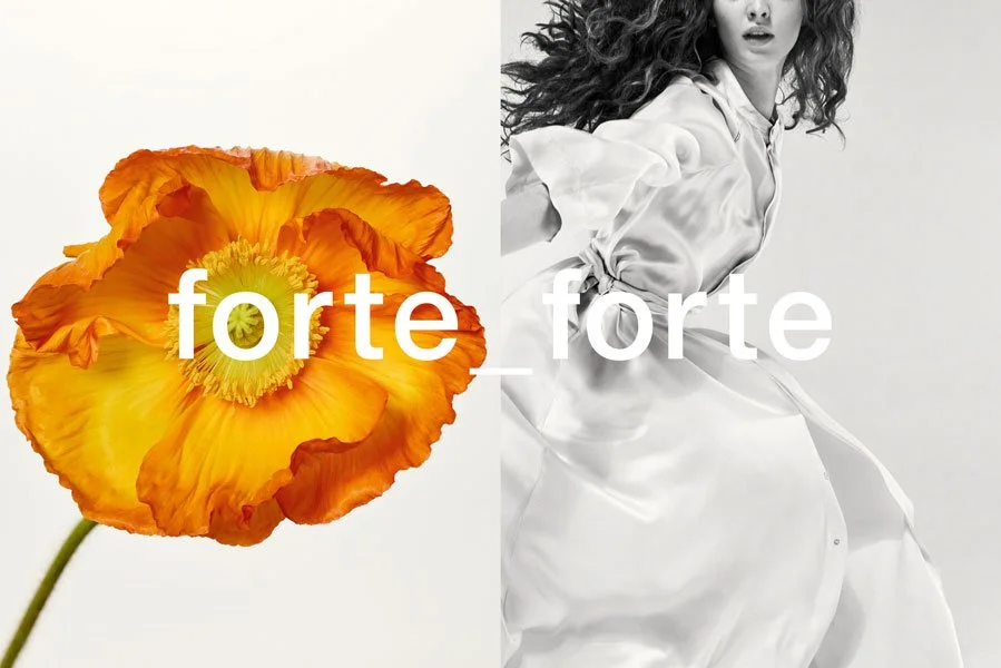 Forte Forte - Koto Bolofo 