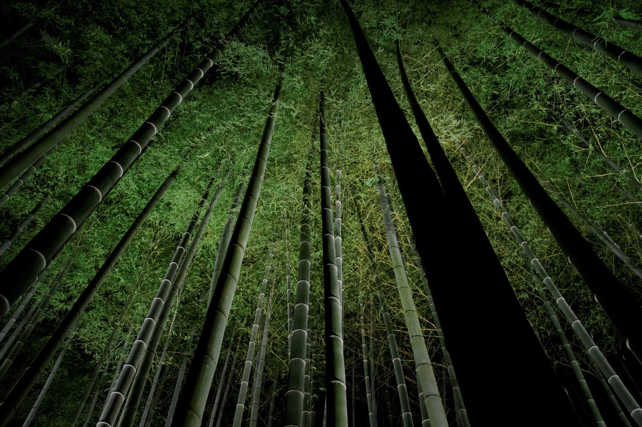 Shōren-in Temple in Kyoto