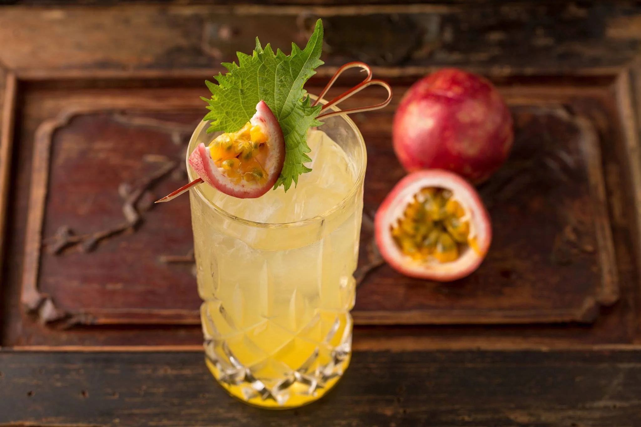 Mott-32-JOYCE-WANG 005.JPG