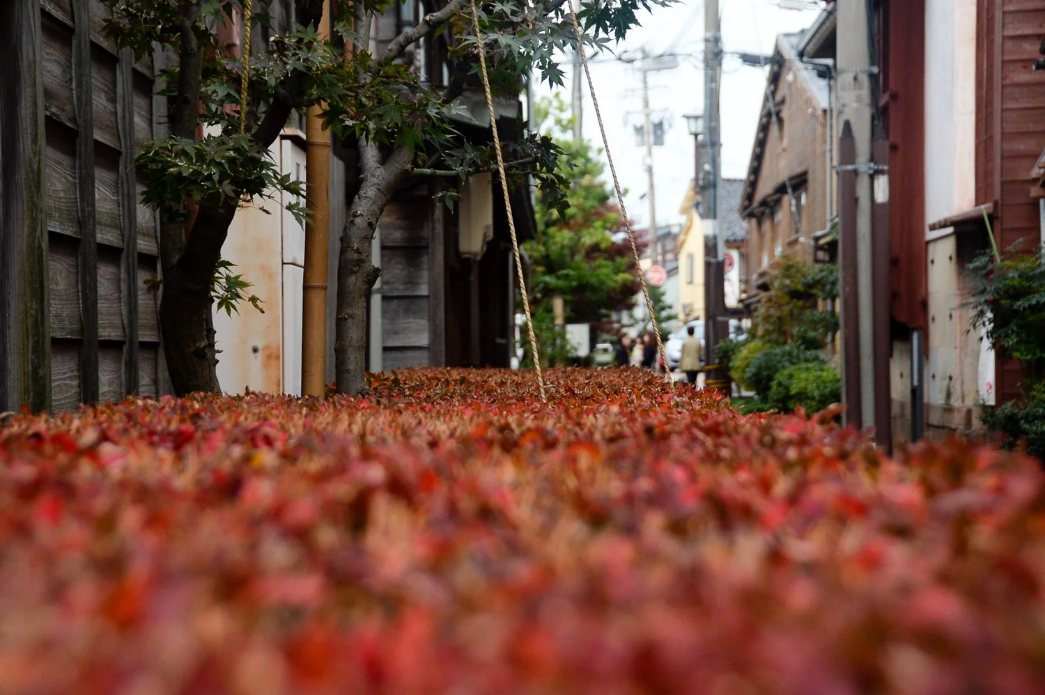 Higashichaya 002.jpg