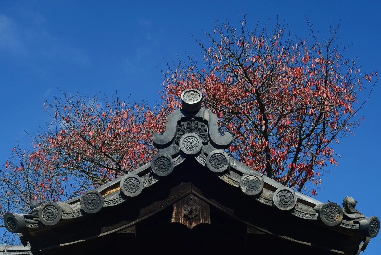 Daigo-ji 066.jpg