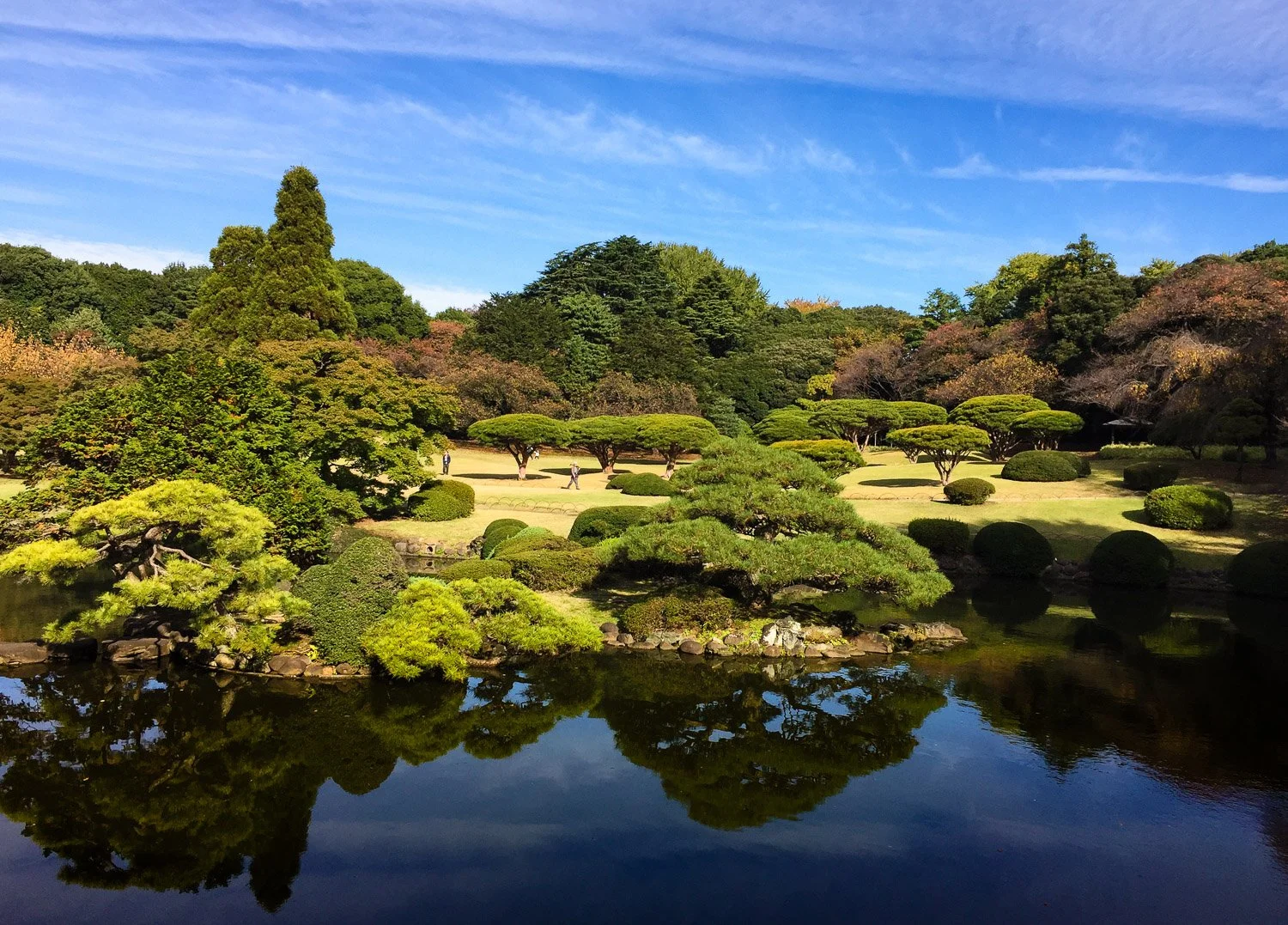 Shinjuku Gyoen an Emerald Oasis in Tokyo