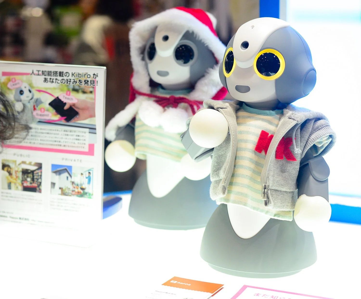 An exploration of the Tokyo International Robot Exhibition