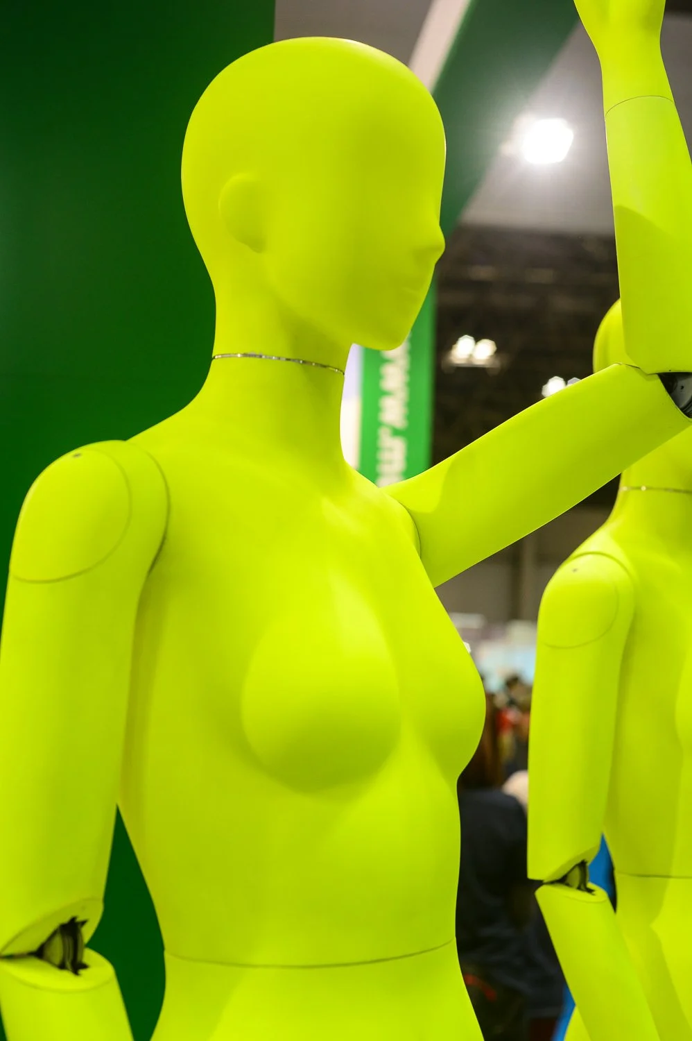 2015 Robot Show 034.jpg