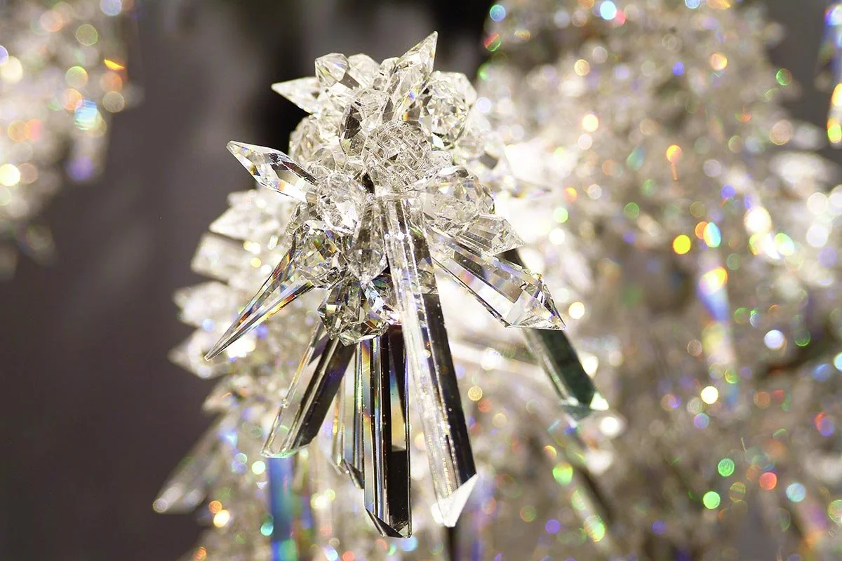  Wintertraum– photo © Anatol Jasiutyn 