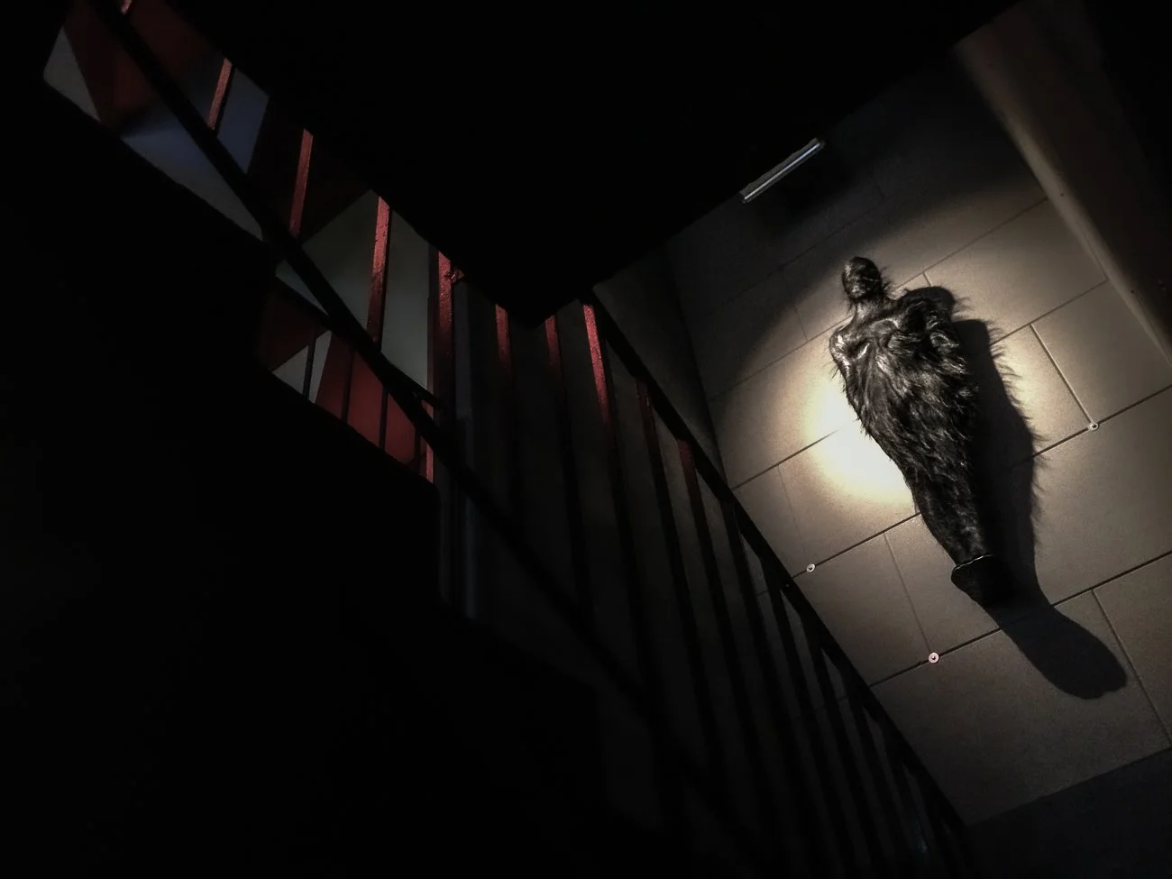 If Dogs Run Free_005.jpg