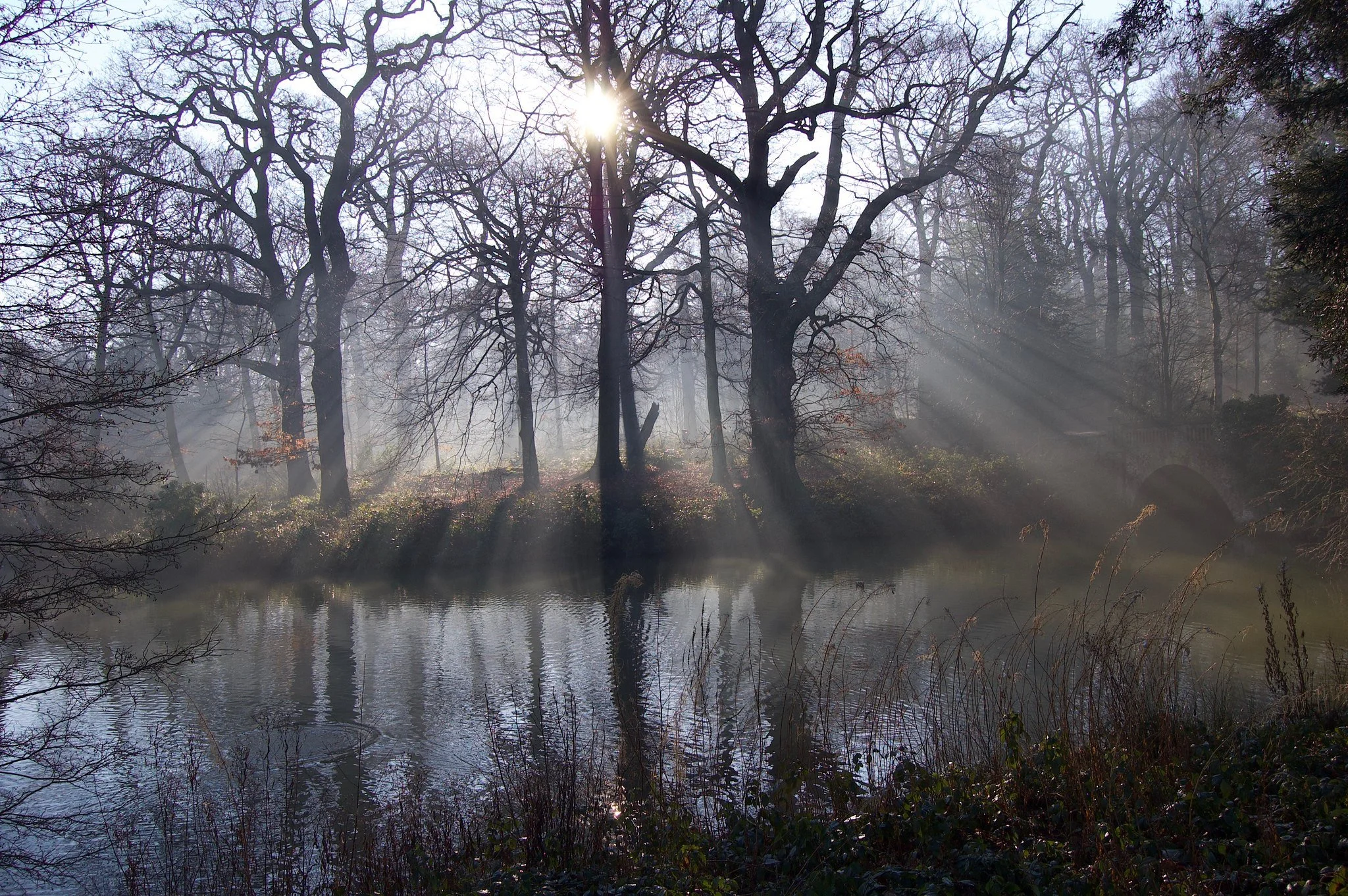Hampstead Heath, a Wild Green Haven&nbsp;