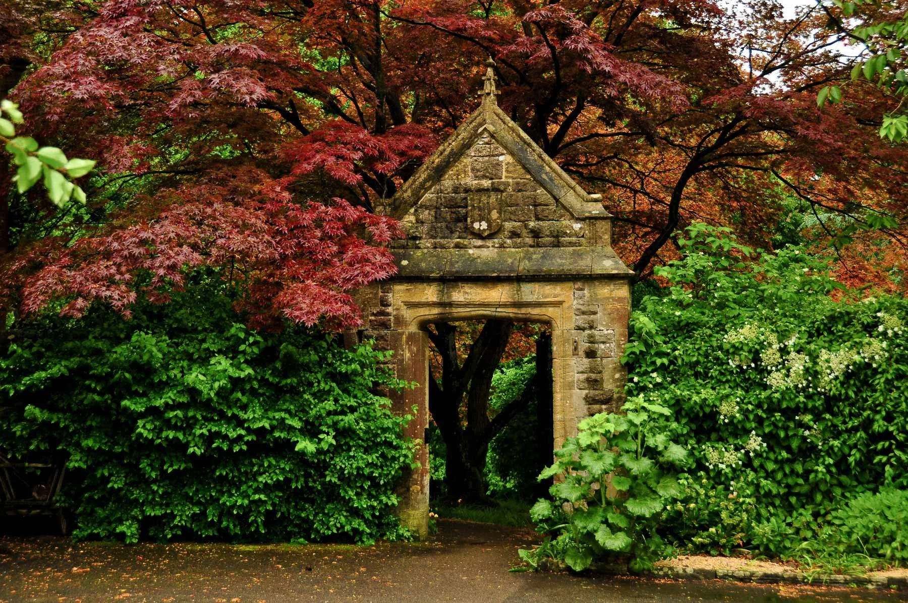 Glencot House – Somerset’s Lost Country Inn of Curiosities