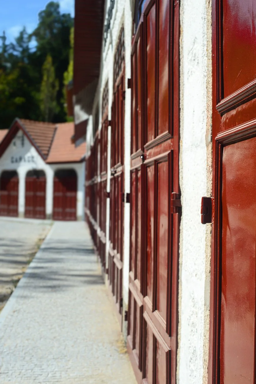 Pedras Salgadas 038.jpg