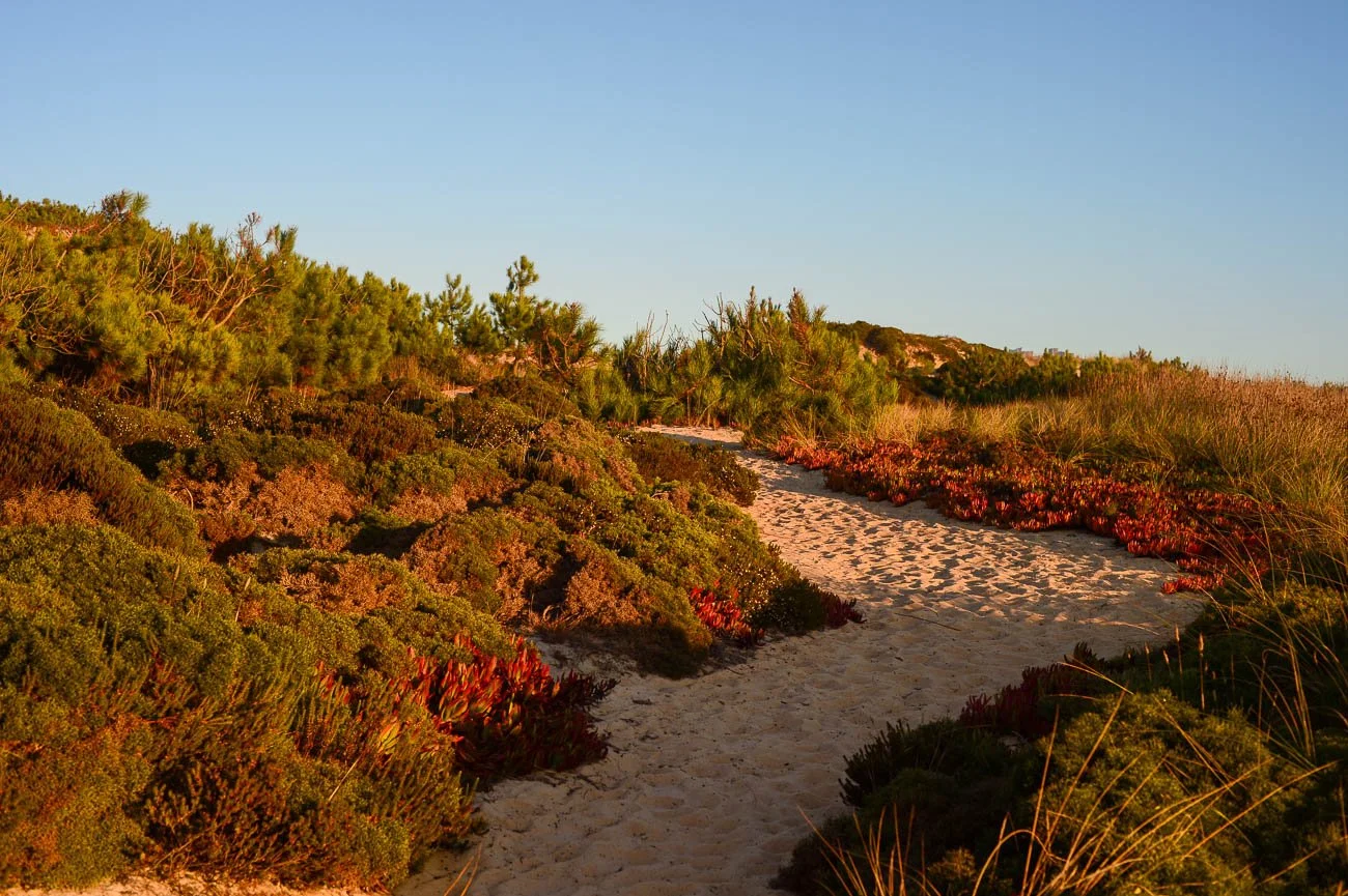 Areias do Seixo 024.jpg