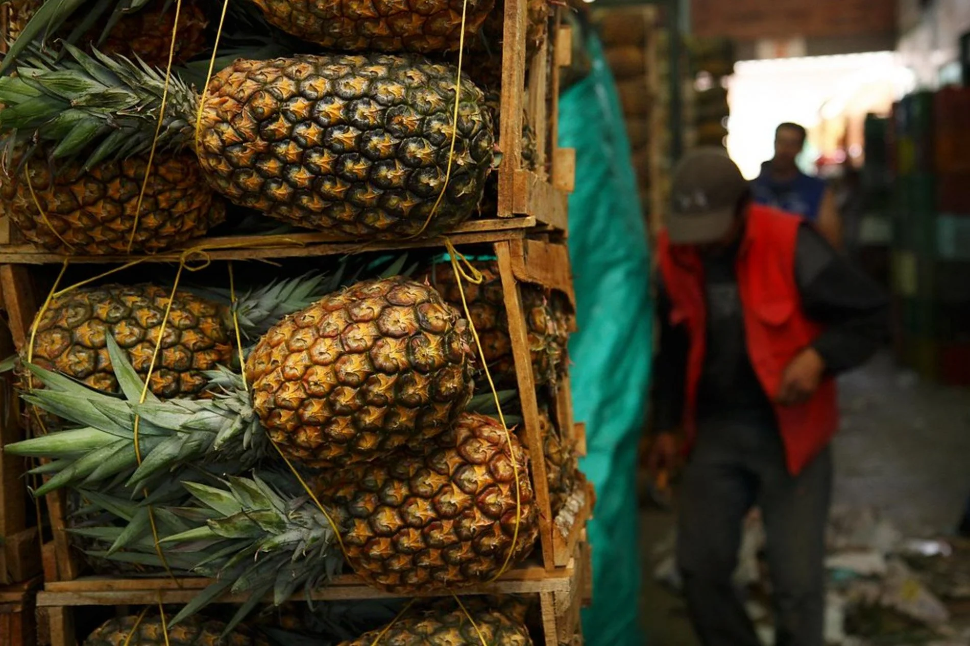 The Grand Corabastos Produce Market