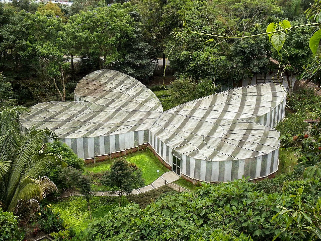 The Botanical Gardens of Quindío a Living Laboratory of Forest, Palms and Butterflies