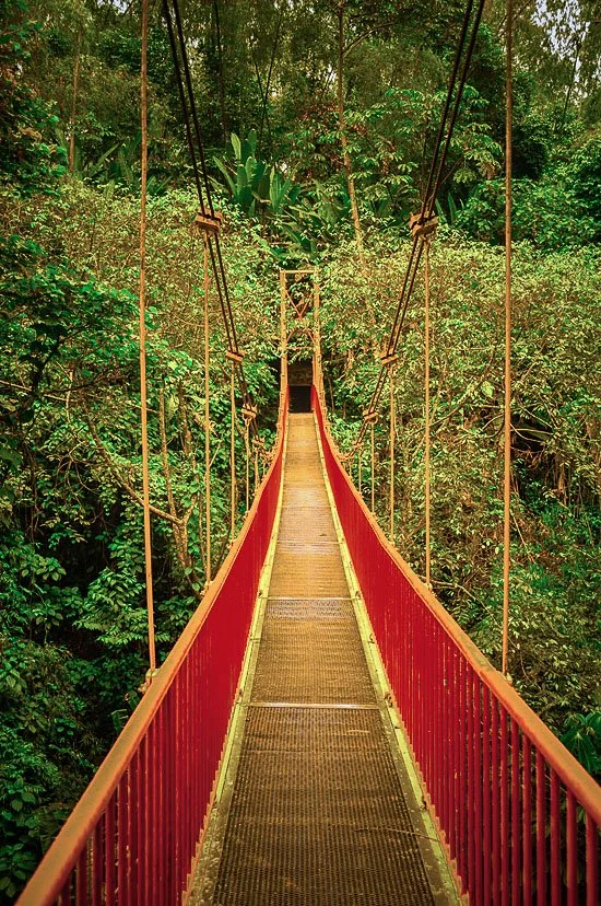jardin-botanico-quindio-colombia_6979848883_o.jpg