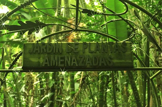 jardin-botanico-quindio-colombia_6833723122_o.jpg