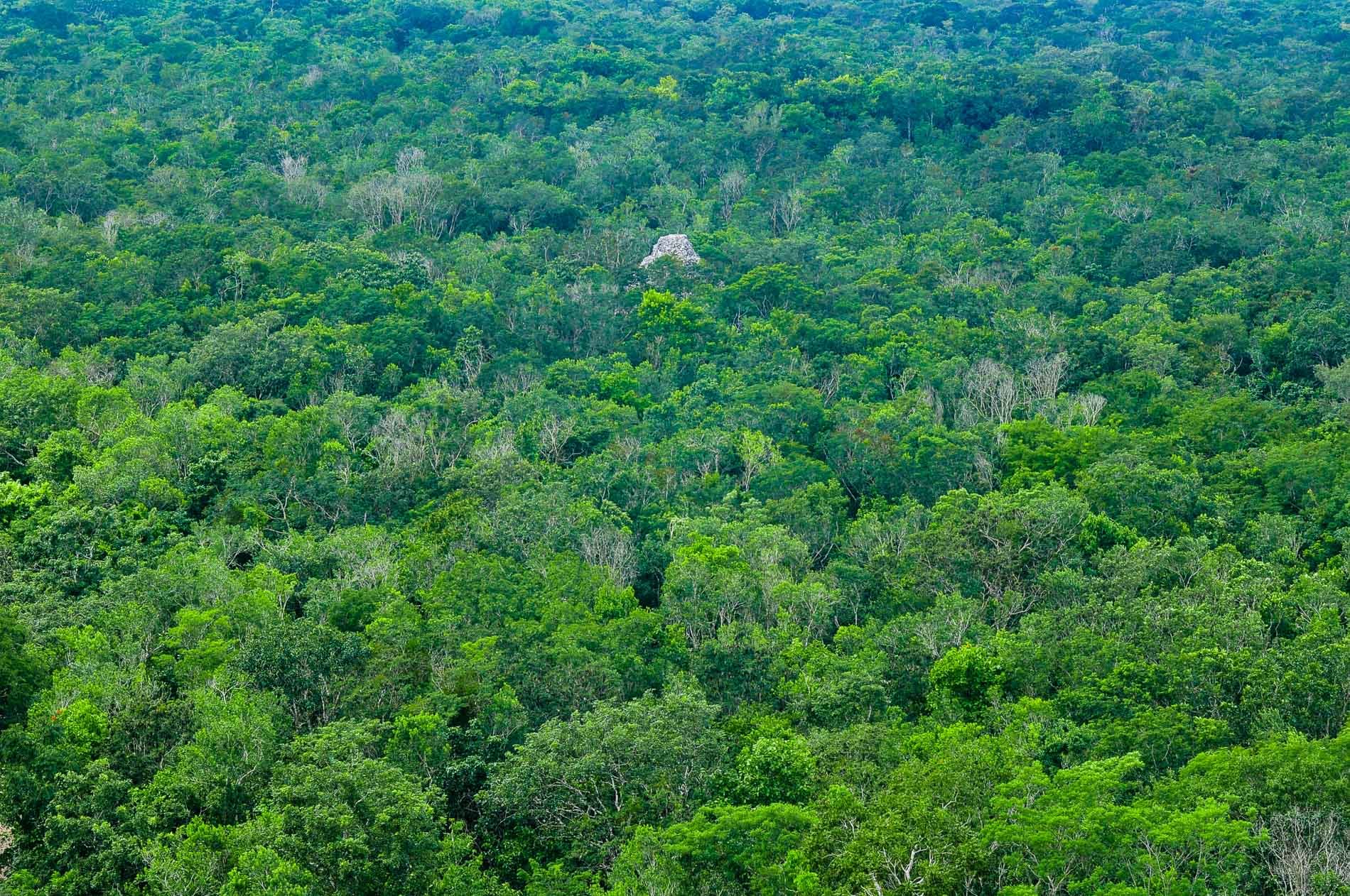 Cobá a Mayan City Written Into The Jungle
