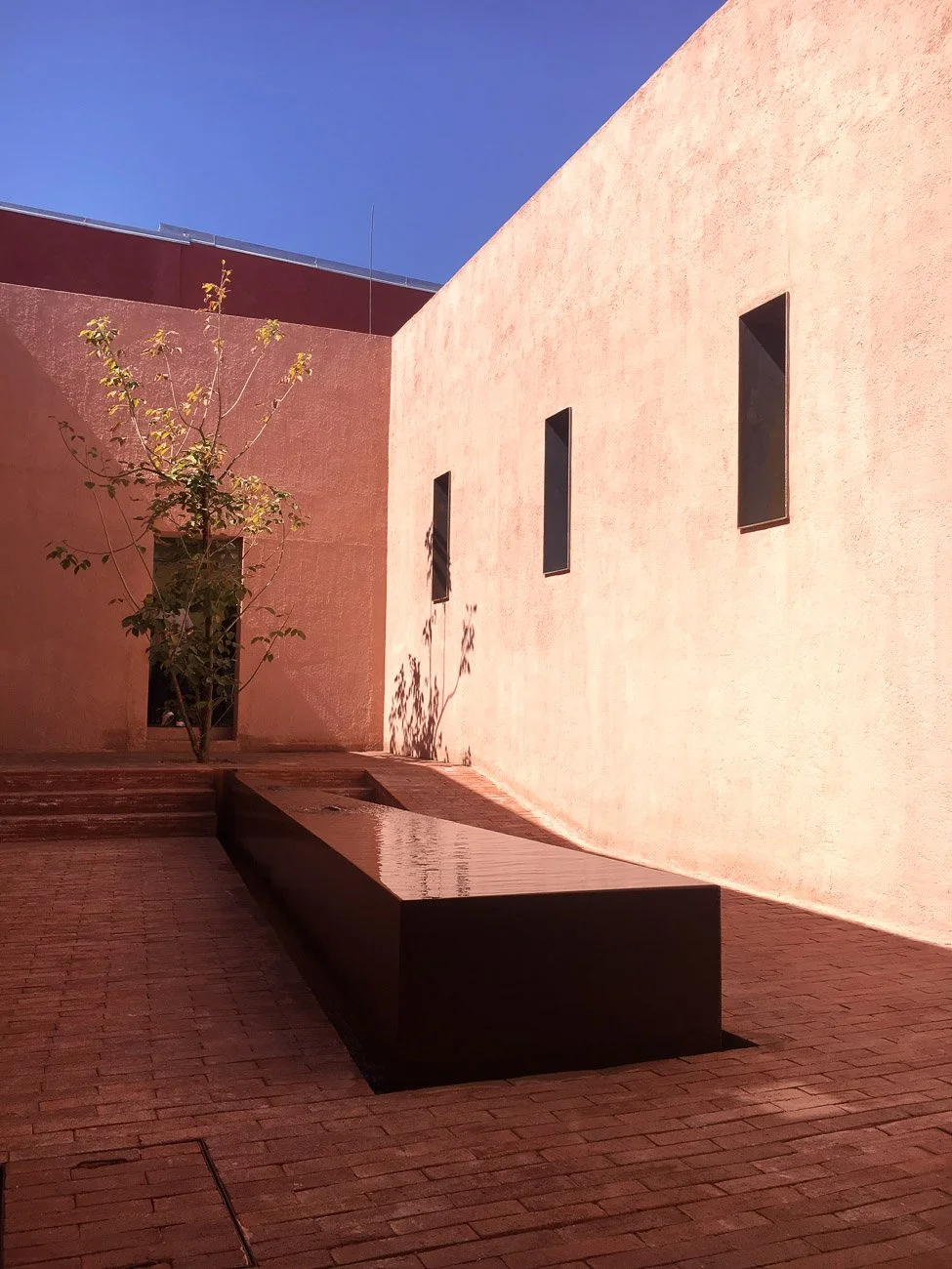 Hierba Dulce OAX 002.jpg