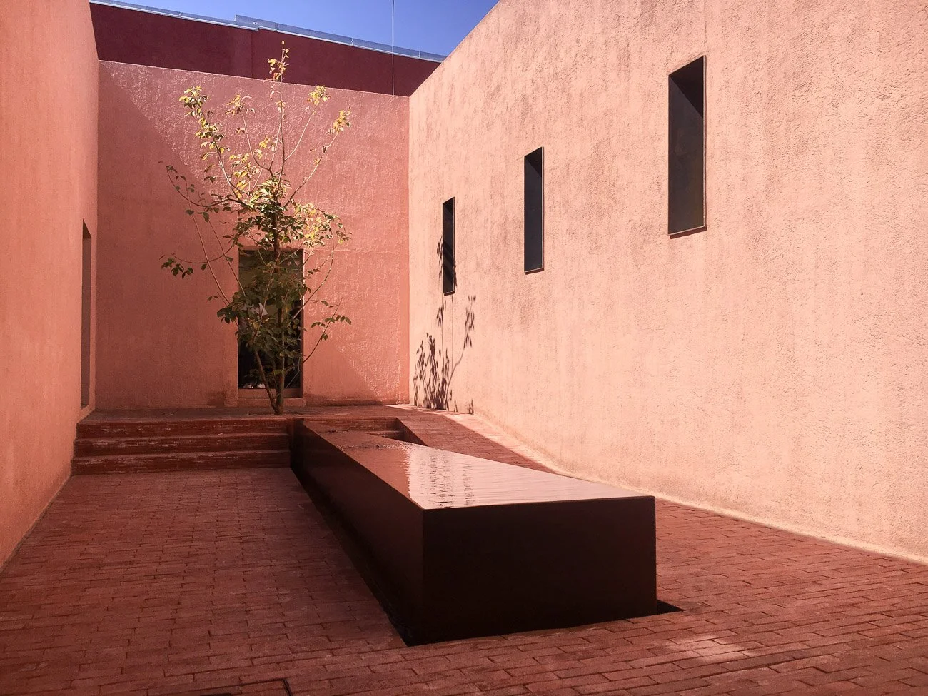 Hierba Dulce OAX 003.jpg