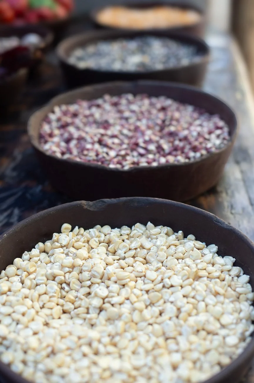 OR_Criollo Clase 191201-003c.jpg