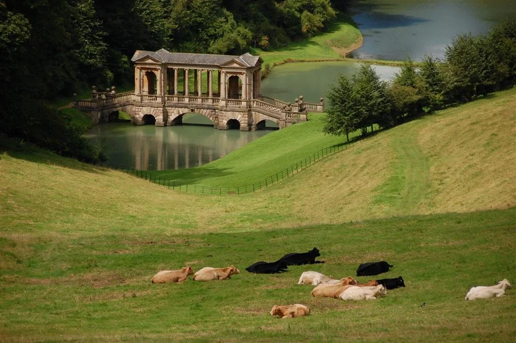 Bath, City of Romans, Georgians, and Golden Stone