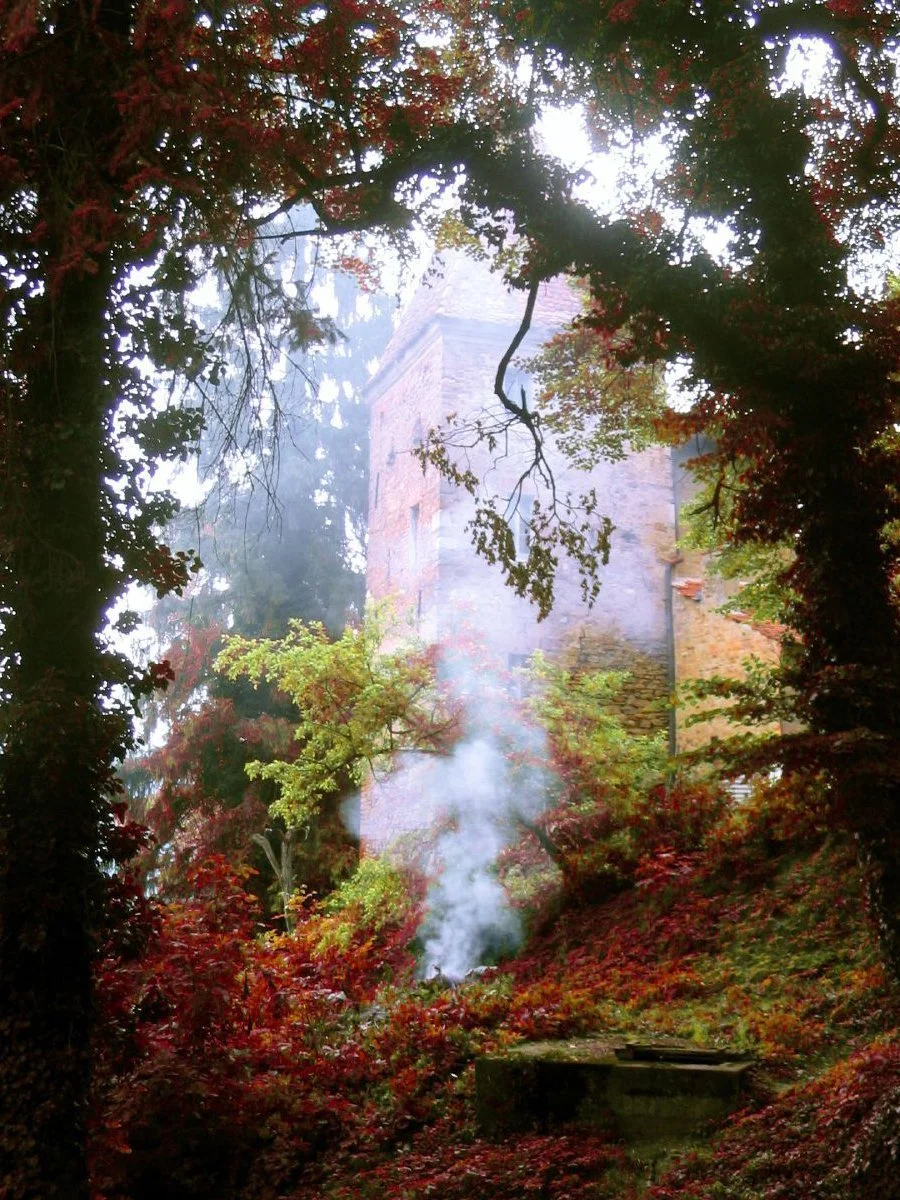 Saxon cemetery ©Monica Semergiu