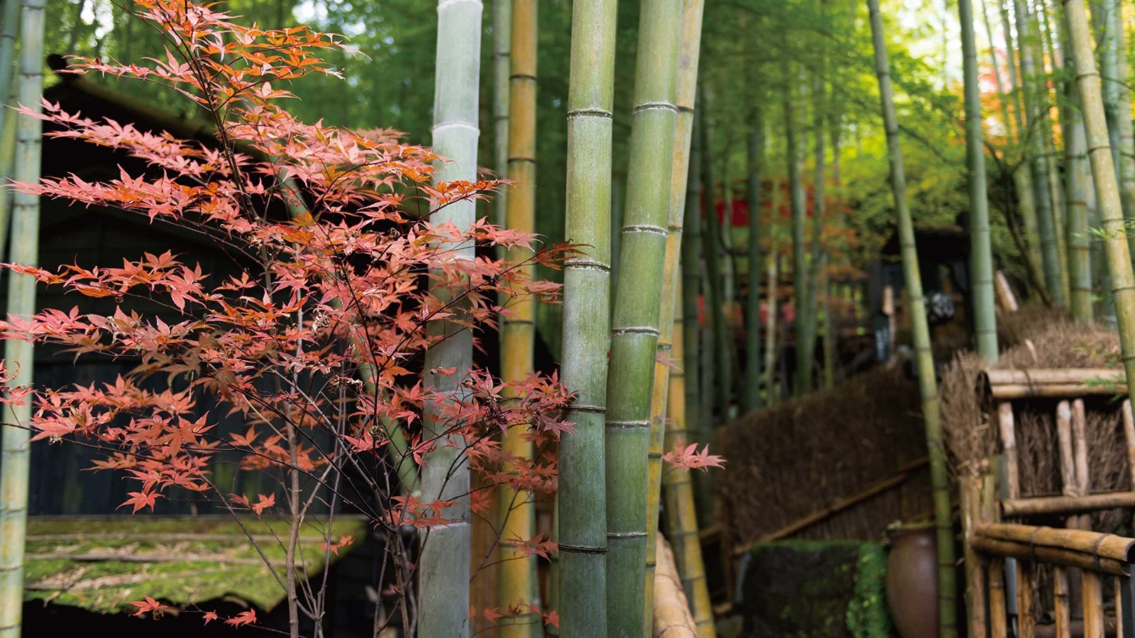 Takefue Ryokan Kyushu 015.jpg