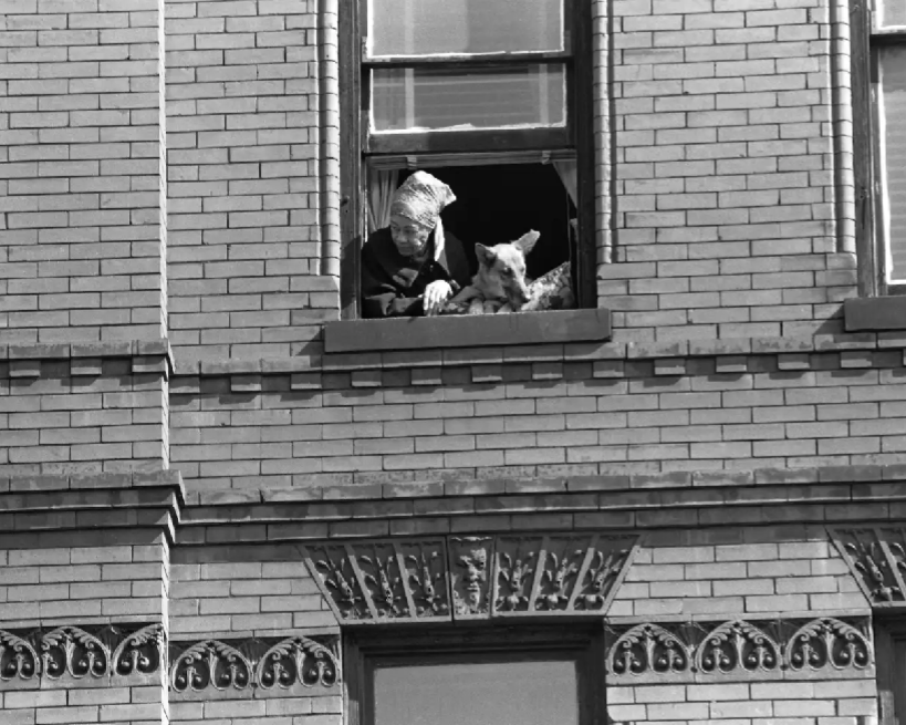 People Watching, Harlem, New York, 1966