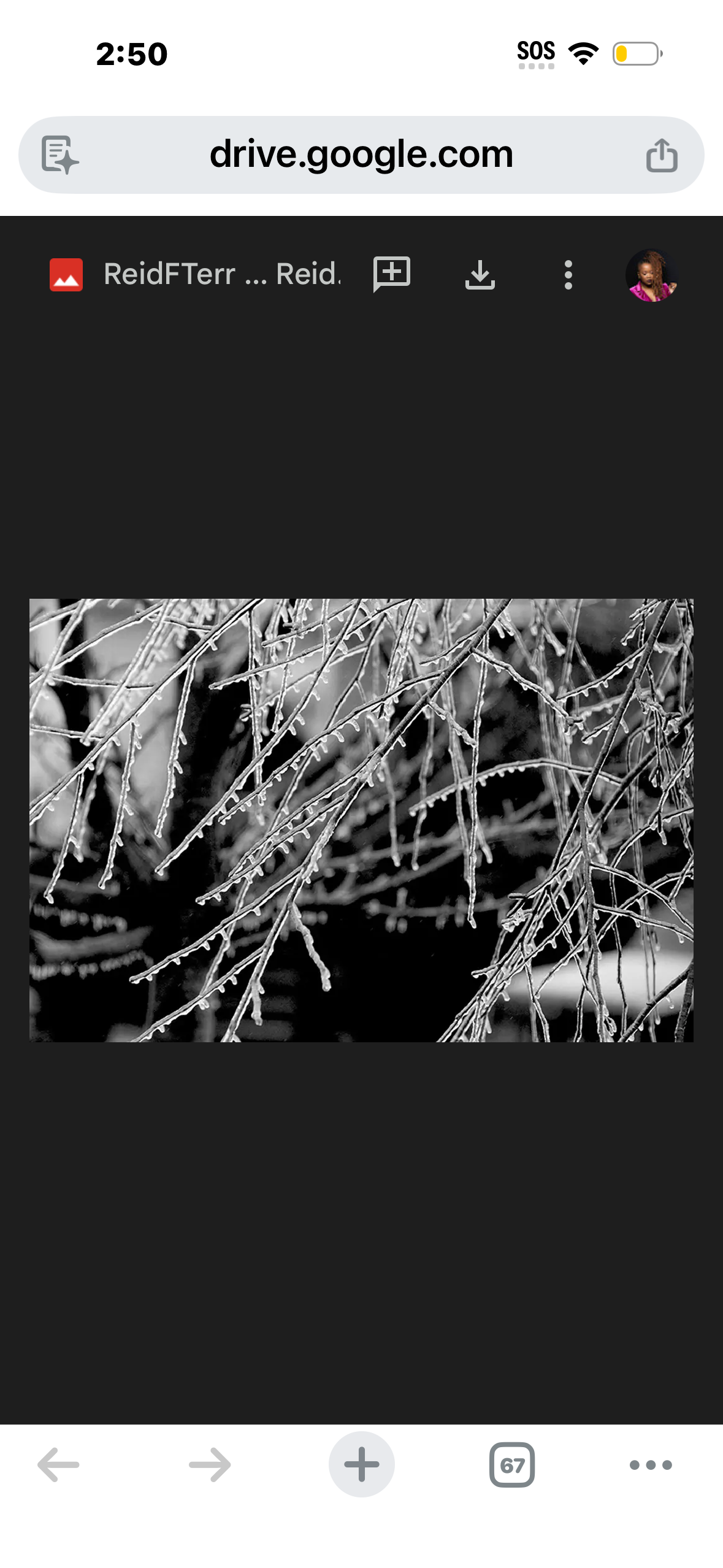 Ice