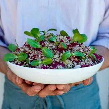 Margherita Dal Pra Yoga Retreats.jpg