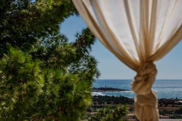 medium-Copia di Giardino_e_Piscina_Roccaseta (18).jpg