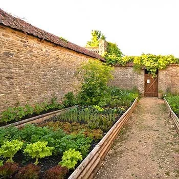Margherita Dal Pra Yoga Retreats.jpg