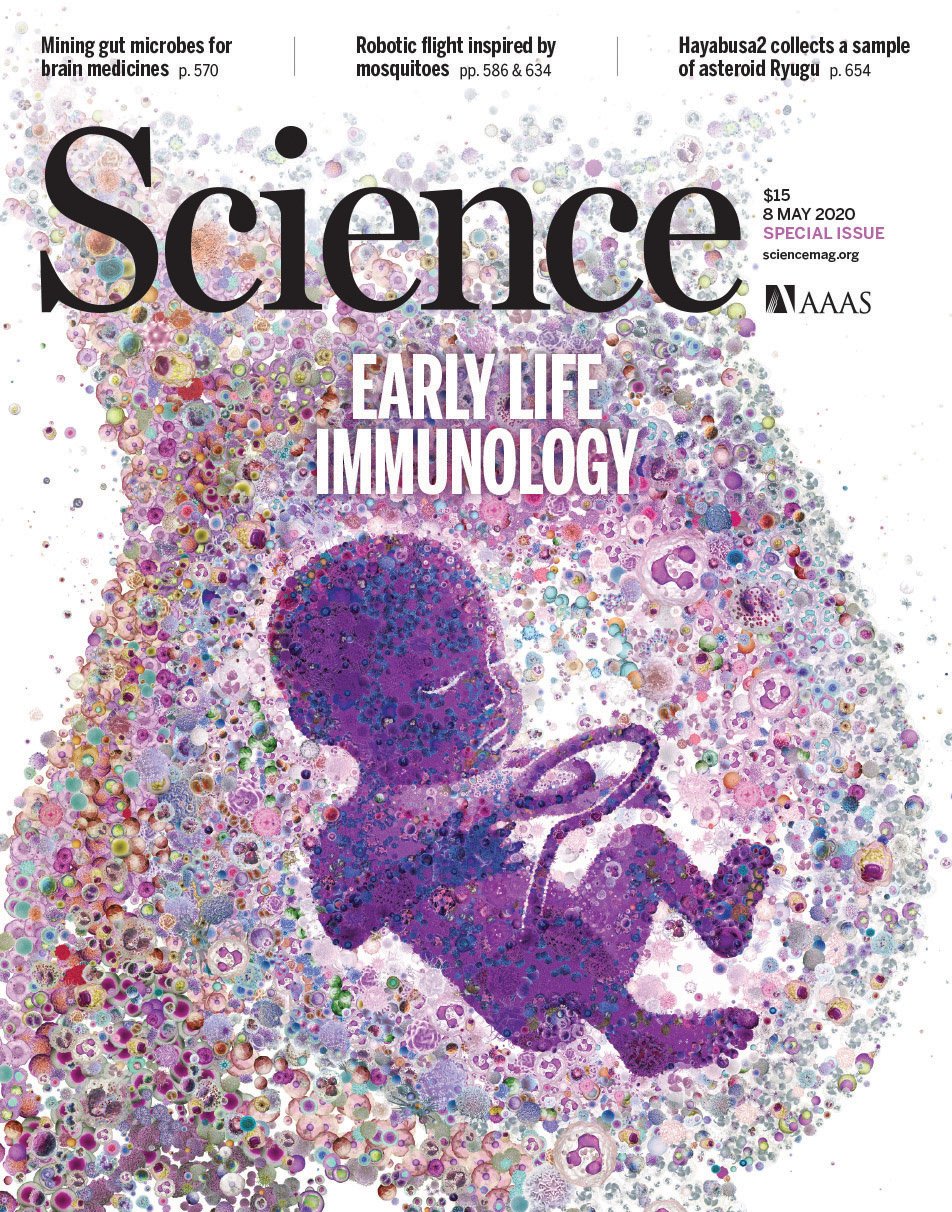Science magazine cover: a pregnant woman and a baby built from thousands of small images of microbes