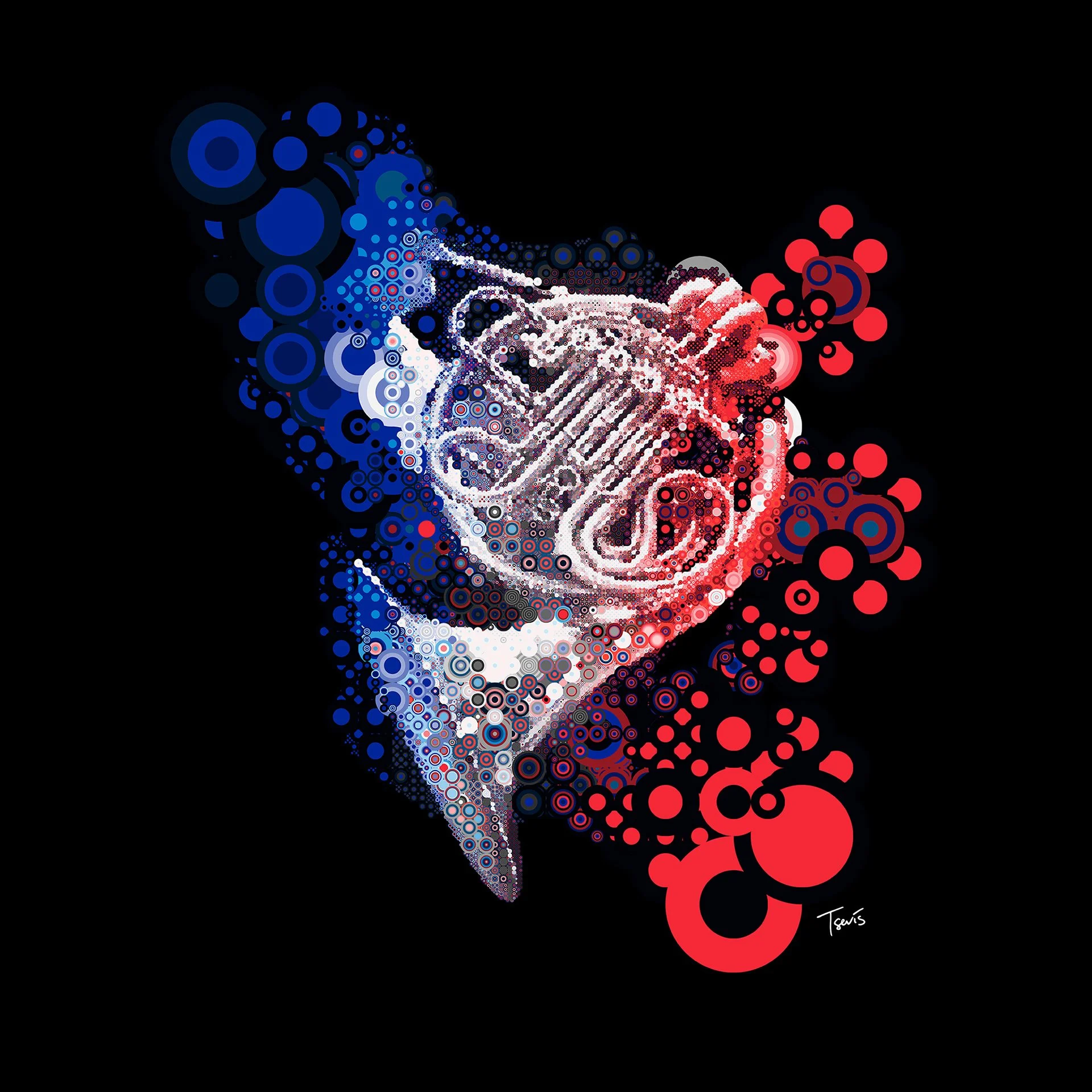 tsevis-tiger-head-mosaic-red-white-blue.jpg