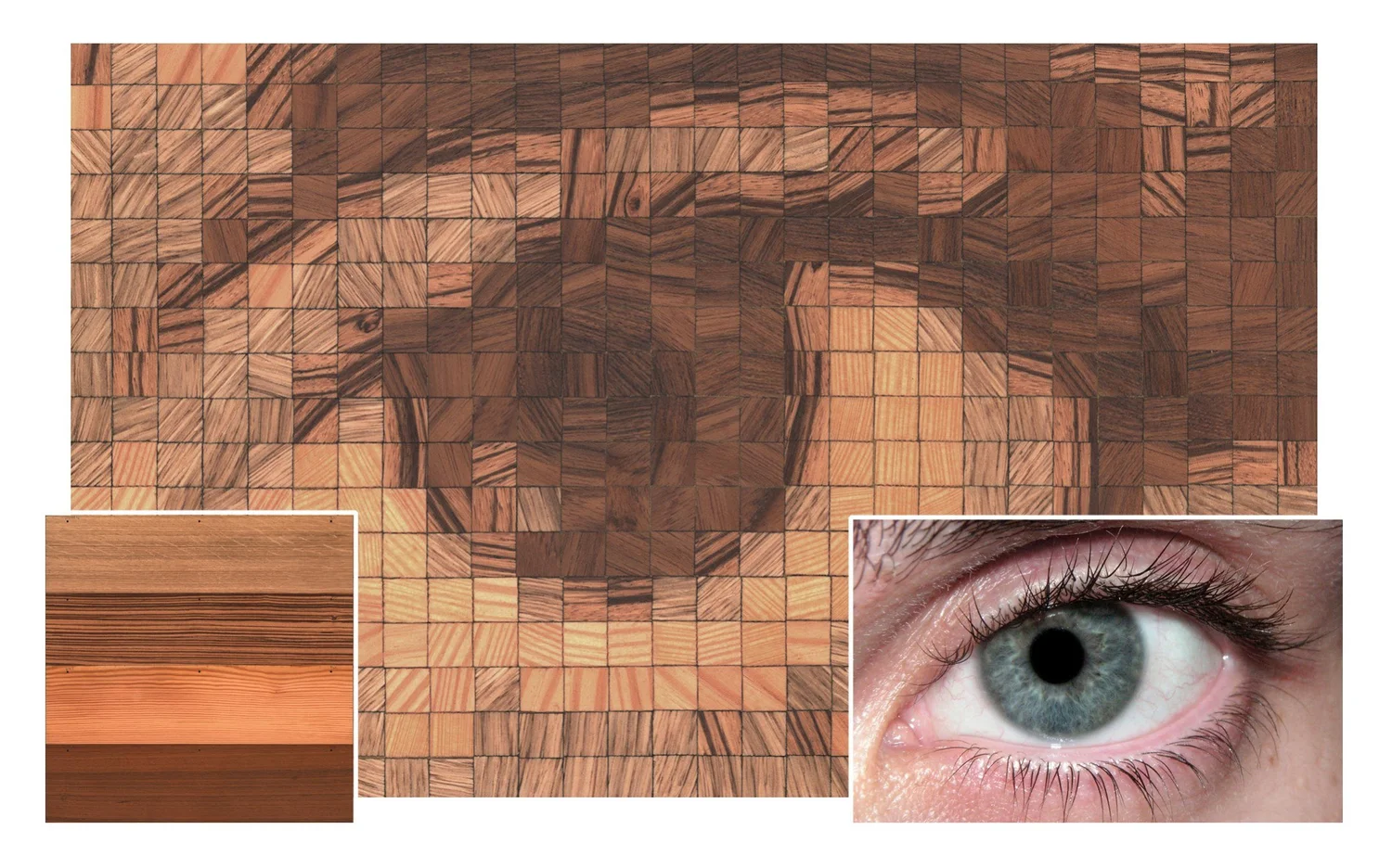Human eye rendered in pieces of wood veneer, with veneer samples and the reference photo