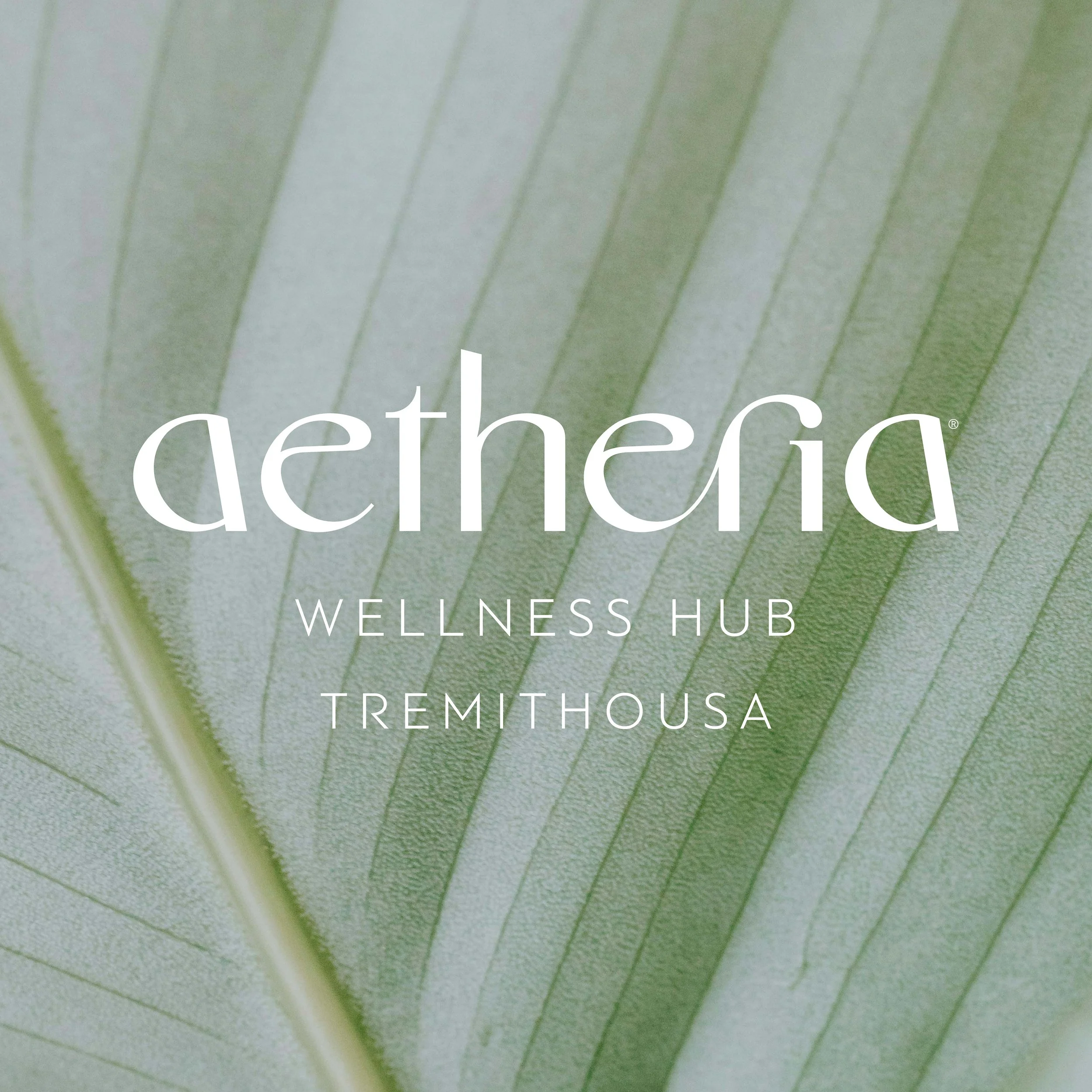 Charis Tsevis_Wellness Branding Design (7).jpg