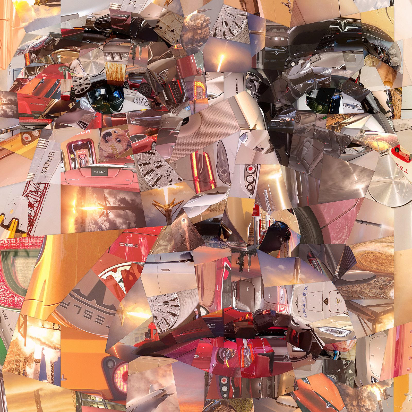  Musk portrait from his creations, unique photomosaic 
