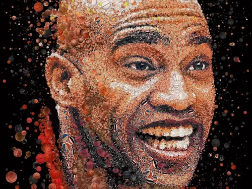 Vince Carter NBA Canada Tribute Mosaic