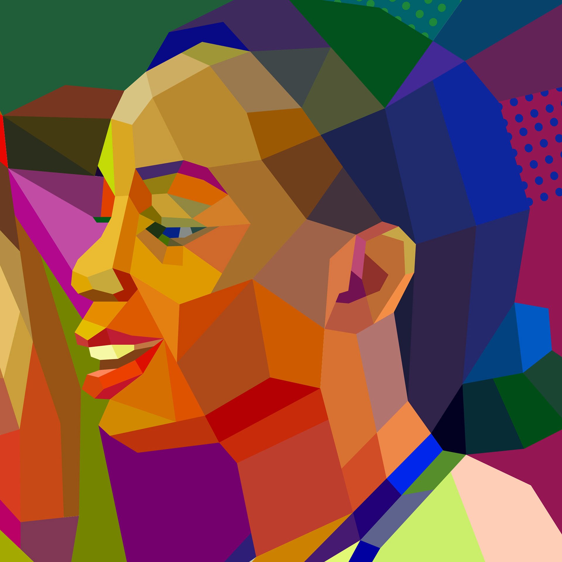  Portraits made of many colors and graphics 