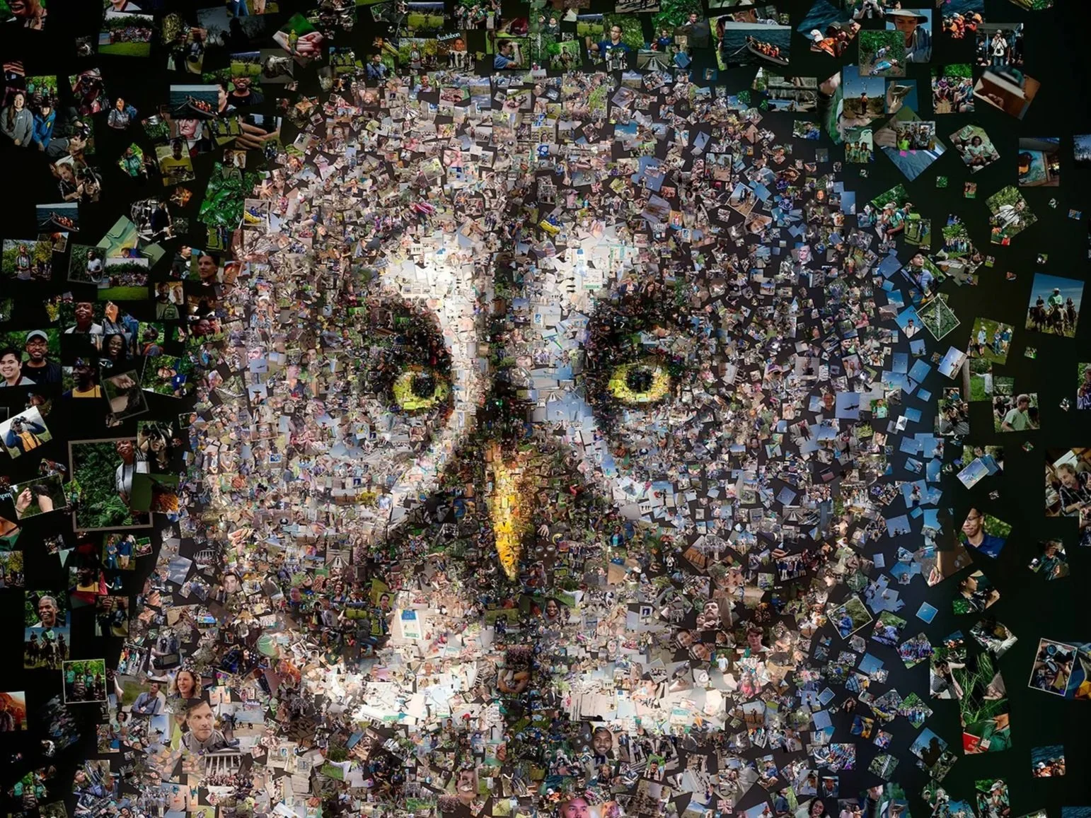 Climate Change Bird Mosaic