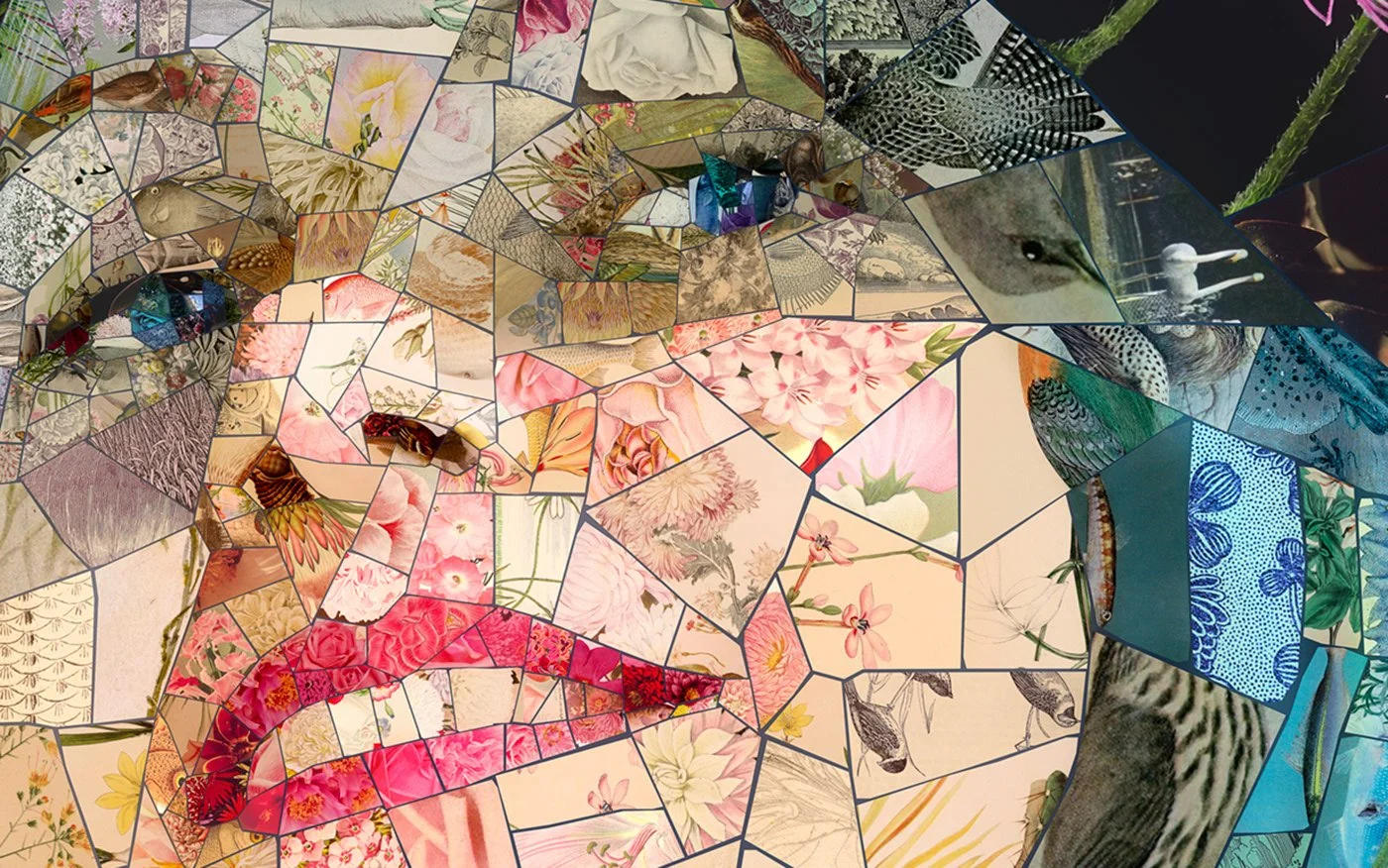 Charis Tsevis_Aphrodite mosaics (13).jpg