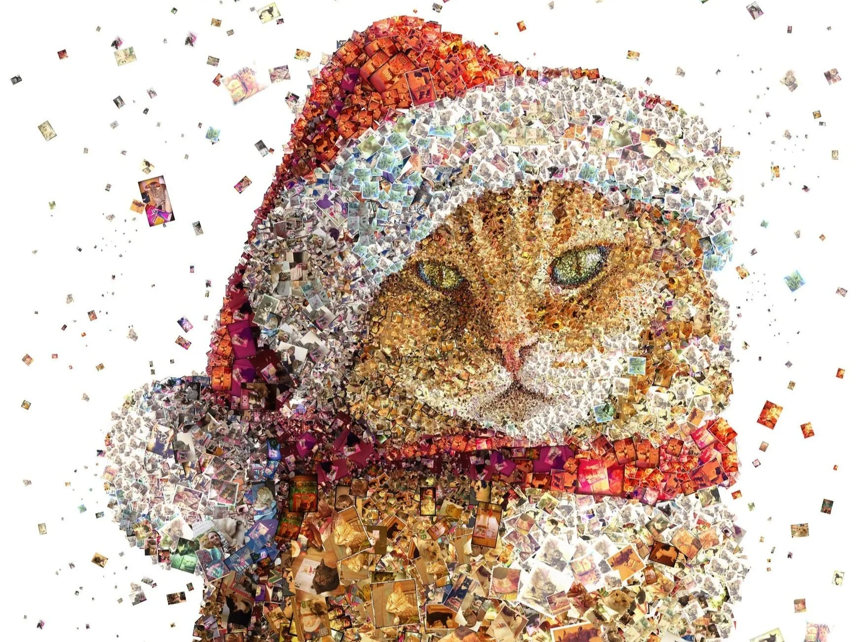 Big Issue UK:&nbsp;Happy Christmas from Street Cat Bob