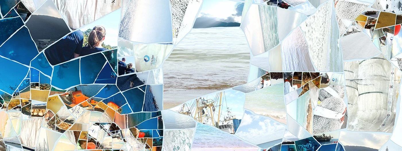   Close-up of dolphin mosaic – individual Healthy Seas photos visible: divers, ghost nets, recovered trash.  