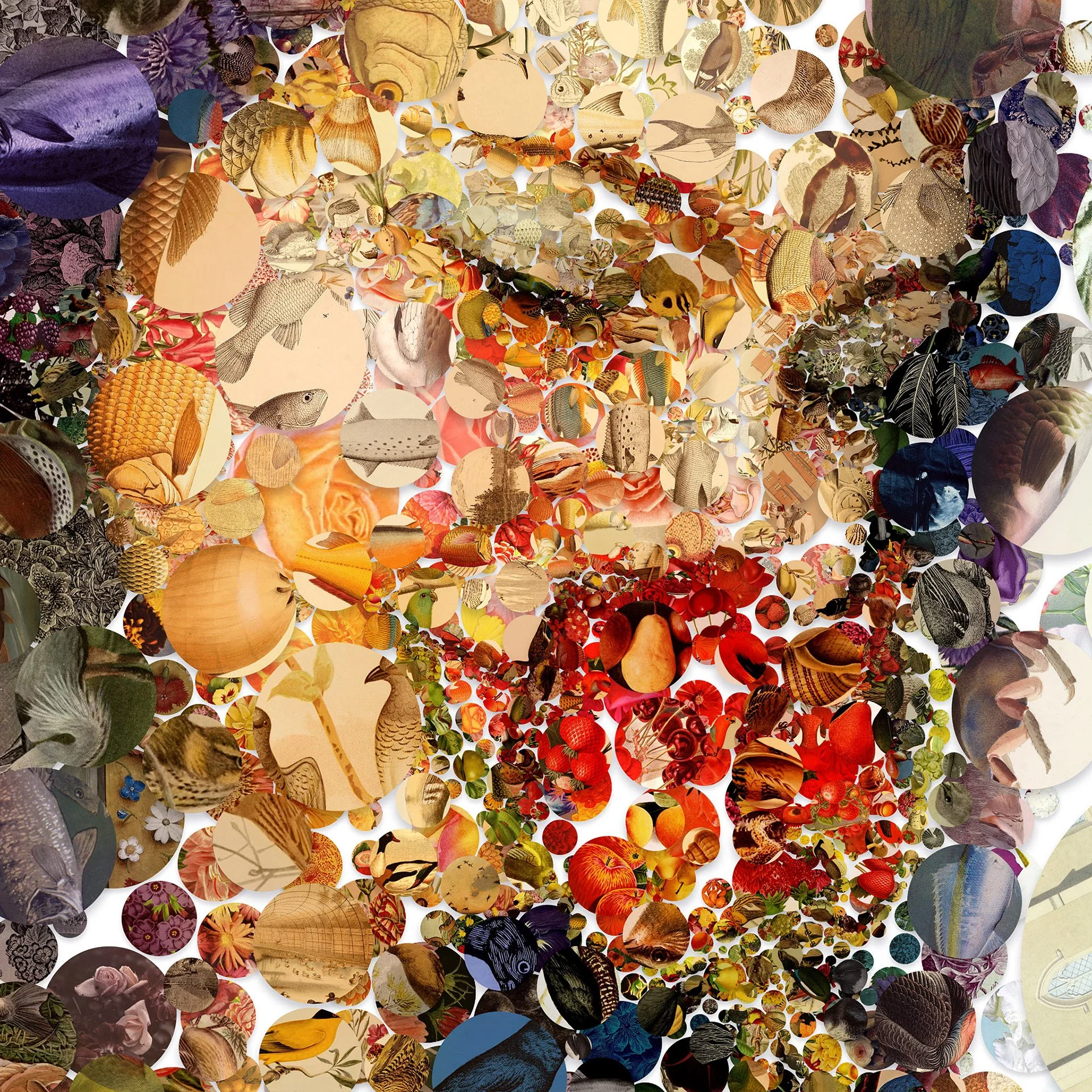 Charis Tsevis_Two roses (5).jpg